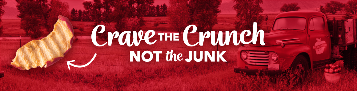 gourmet nut simple slices